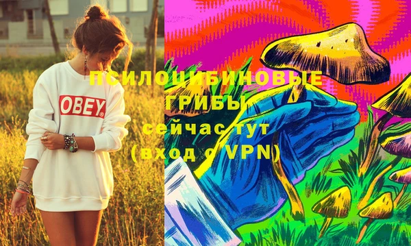 мдма Вяземский