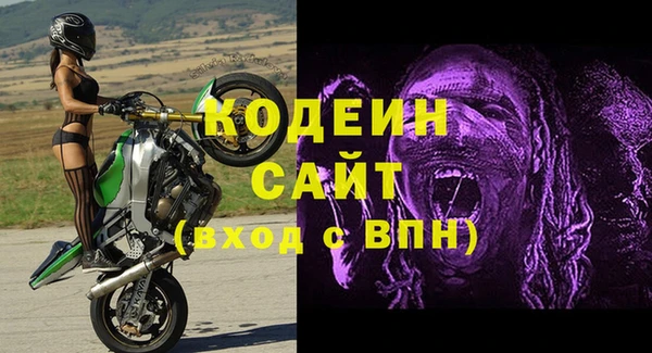 молекула духа Вязьма