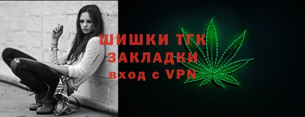 молекула духа Вязьма