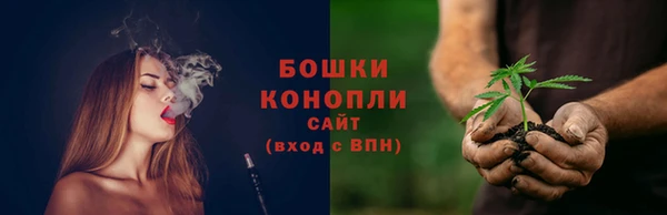 молекула духа Вязьма