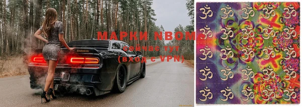молекула духа Вязьма