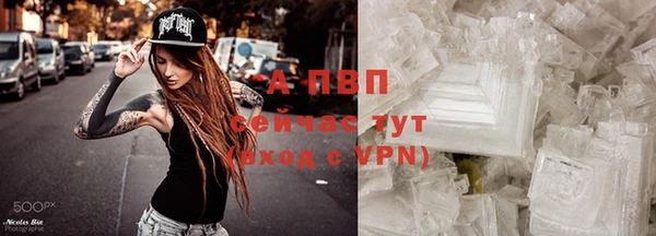 молекула духа Вязьма