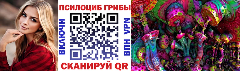 где купить наркоту  Магас  Галлюциногенные грибы Cubensis 